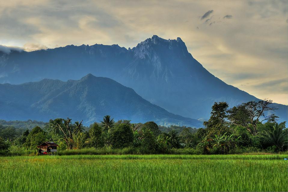 Sabah Web Design